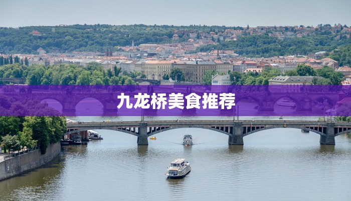 九龙桥美食推荐