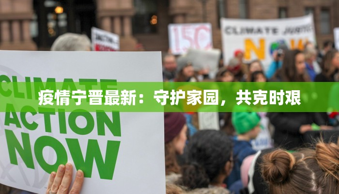疫情宁晋最新：守护家园，共克时艰