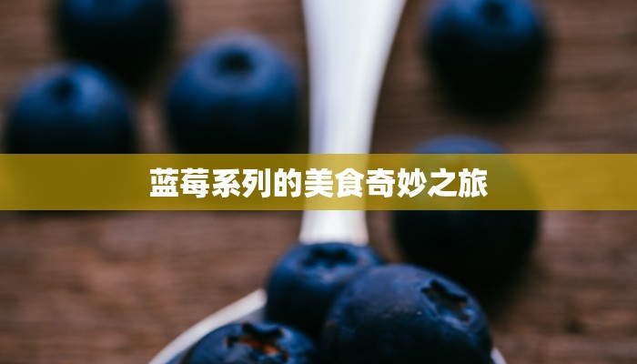 蓝莓系列的美食奇妙之旅