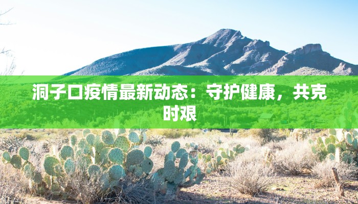 最新发布郑州疫情消息：科学防控，共筑健康屏障