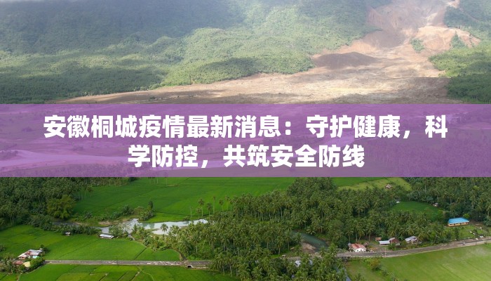 安徽桐城疫情最新消息：守护健康，科学防控，共筑安全防线