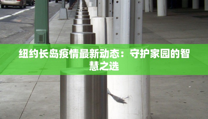 纽约长岛疫情最新动态：守护家园的智慧之选