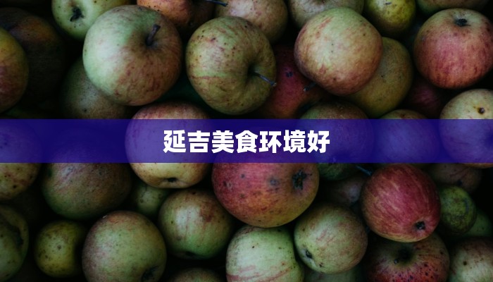 延吉美食环境好