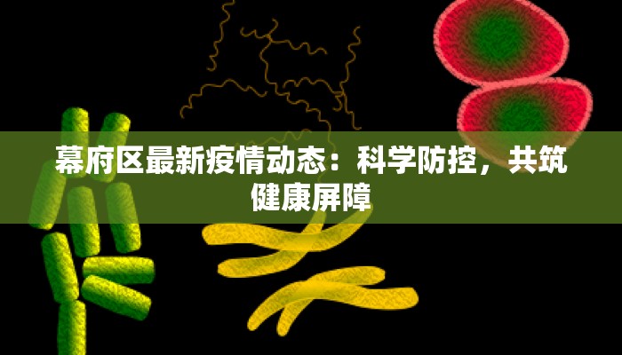 幕府区最新疫情动态：科学防控，共筑健康屏障